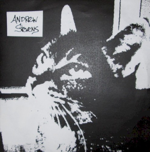 Andrew Stevens