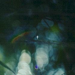 Where You Are