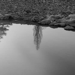 moving still: a series of twilights
