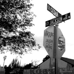 Jackson Street Dreams