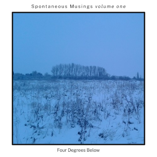 Spontaneous Musings Volume 1