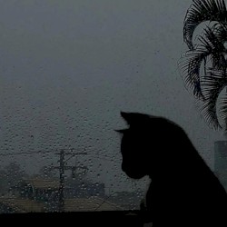 a sad song