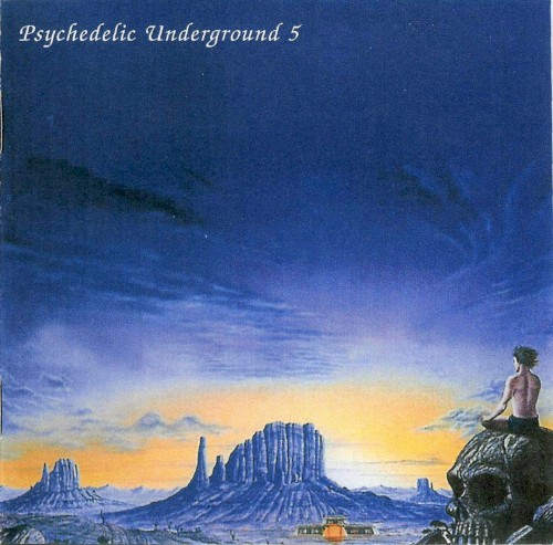 Psychedelic Underground 5