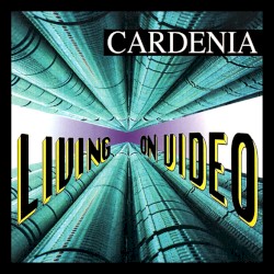 Living on Video