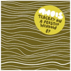 Tracery on a Frosted Window EP