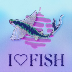 I Love Fish