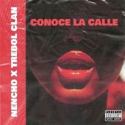 Conoce la calle