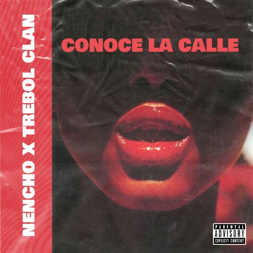 Conoce la calle