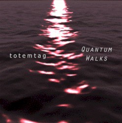 Quantum Walks