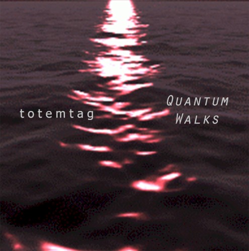 Quantum Walks