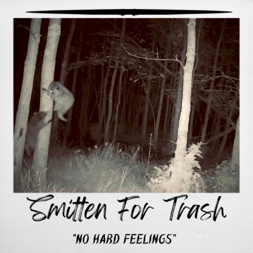 No Hard Feelings