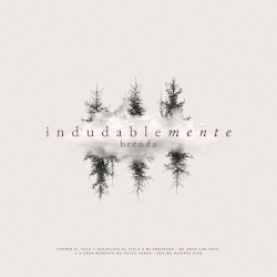 Indudablemente