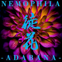 徒花 -ADABANA-