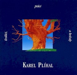 Králíci, ptáci a hvězdy