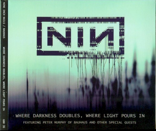 Where Darkness Doubles, Where Light Pours In