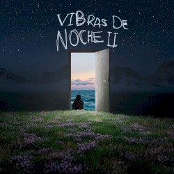 Vibras De Noche II