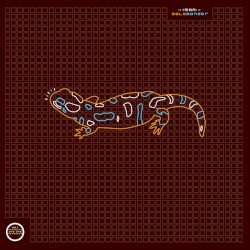 Salamander