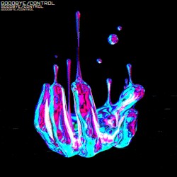 goodbye/control