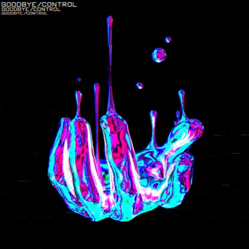 goodbye/control