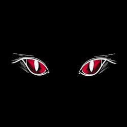 Scaredy Catty