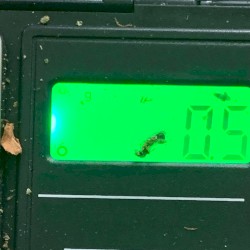 0.5