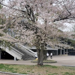 Come Through – G3 9th 0004