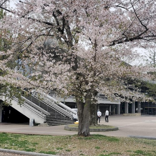 Come Through – G3 9th 0004