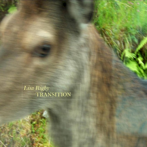 Transition
