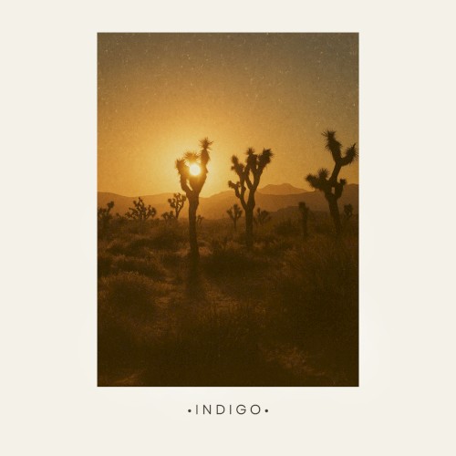 Indigo