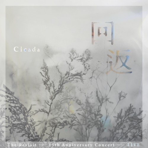 The Revisit: 15th Anniversary Live at Cloud Gate Theater