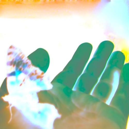 Der Teaser