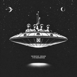 The Beatles - Because (11th Hour Bootleg)