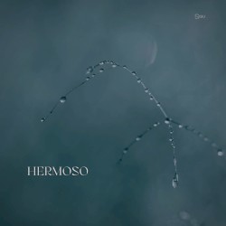 Hermoso