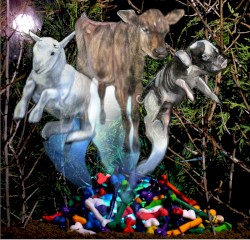 Bones, Hooves & Horns