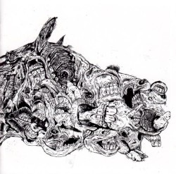 Skelington Horse