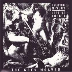 A Wealth Of Misery / Lest We Forget