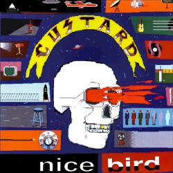 Nice Bird