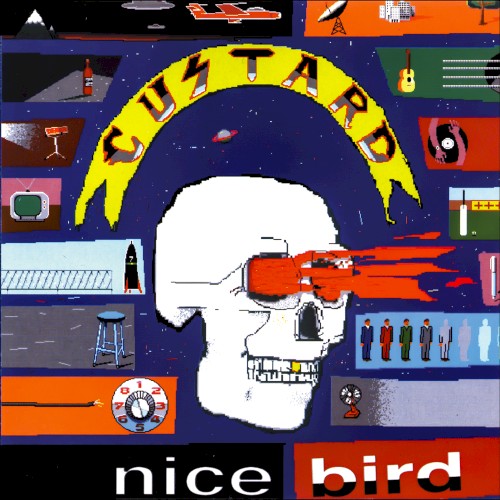 Nice Bird