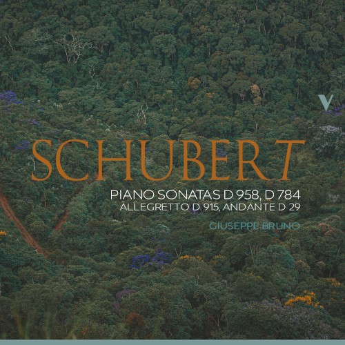 Piano Sonatas, D 958, D 784 / Allegretto, D 915 / Andante, D 29