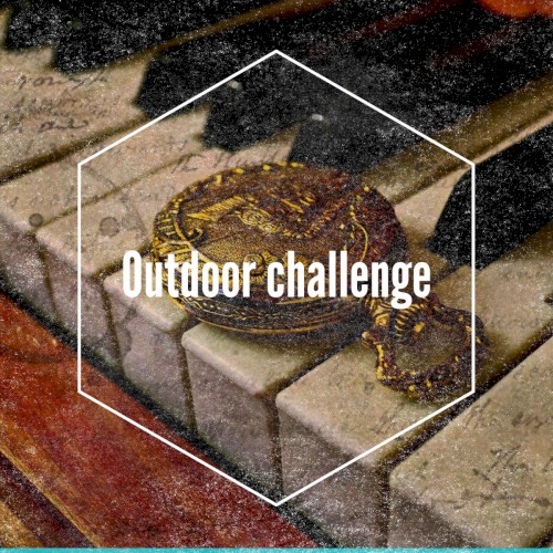 Outdoor Challenge