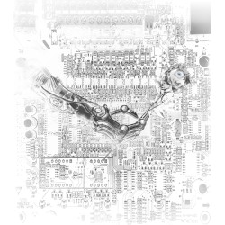 Artificial Desire