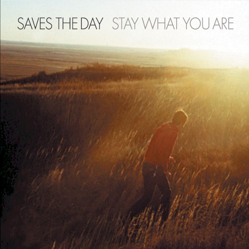 Stay What You Are