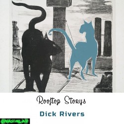 Rooftop Storys