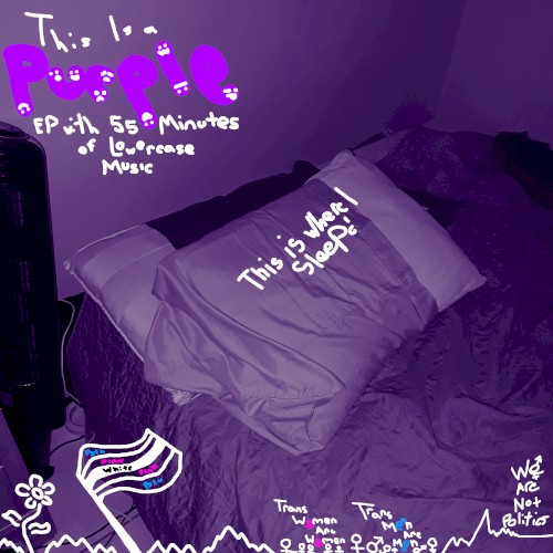 This Is a Purple Ep with 55 Minutes of Lowercase Music