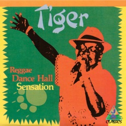 Reggae Dance Hall Sensation