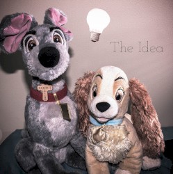 The Idea