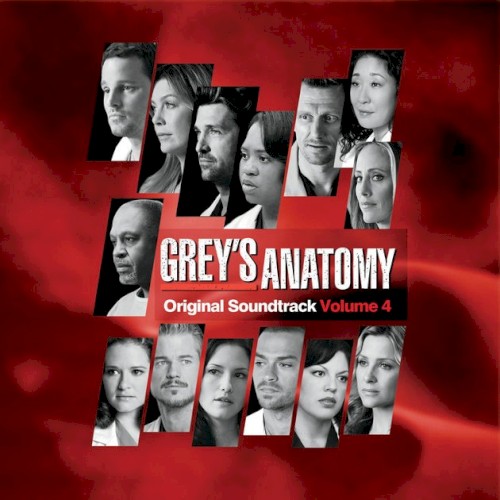 Grey’s Anatomy, Volume 4