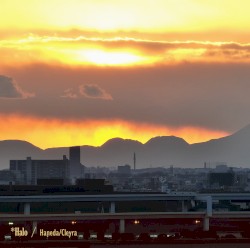 Haneda/Cleyra