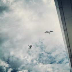 faraway