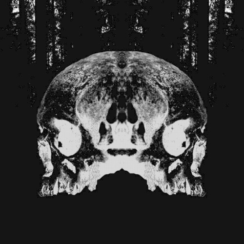 Infertile Minds